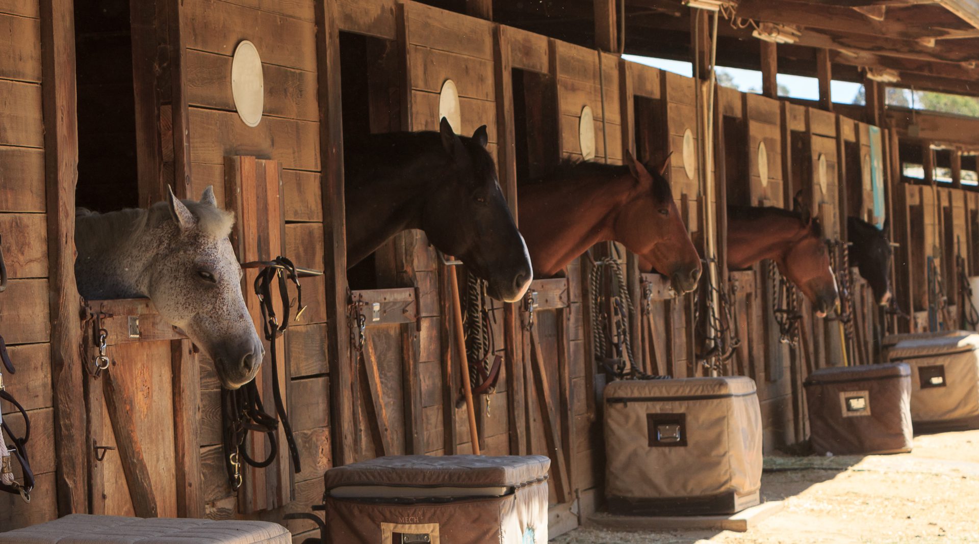 Instructor and riders during a lesson at a riding school